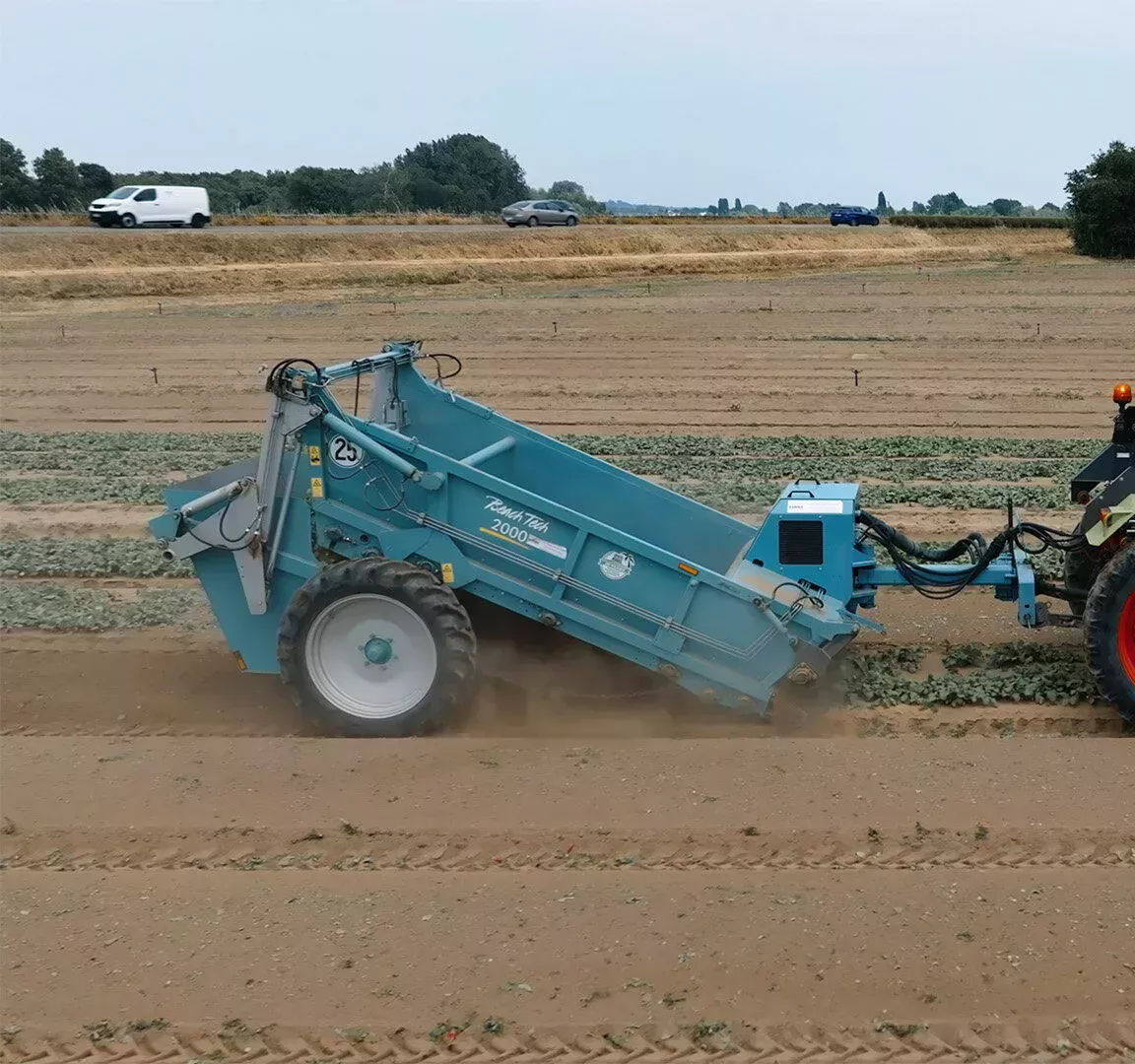 Seedbed